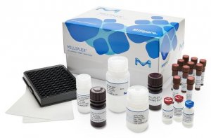 MILLIPLEX� Human Neuroscience Magnetic Bead Panel 2 - Neuroscience Multiplex Assay 