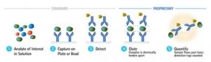SMC� Amyloid Beta 1-40 High Sensitivity Immunoassay Kit 3-0145-00