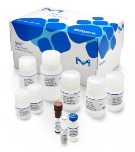 SMC� Human IL-17A High Sensitivity Kit 3-0159-00