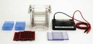 Sigma-Aldrich� Dual Run and Blot System Z741768-1EA