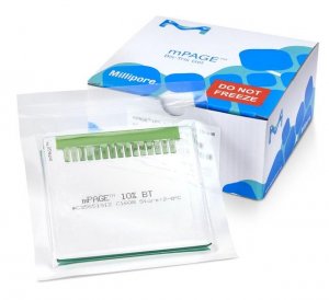 mPAGE� 10% Bis-Tris Precast Gel MP10W15