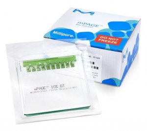 mPAGE� 12% Bis-Tris Precast Gel MP12W12