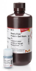 READYBLUE� PROTEIN GEL STAIN 