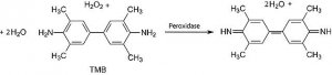 3,3,5,5-Tetramethylbenzidine 