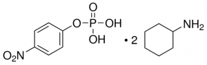 4-Nitrophenyl phosphate bis(cyclohexylammonium) salt 