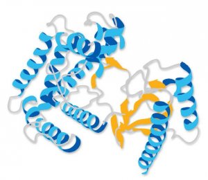 CHKtide, biotin conjugate 12-414