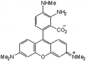 DAR-4M - Calbiochem 