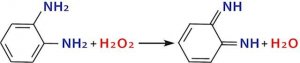 o-Phenylenediamine dihydrochloride 