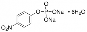 Phosphatase substrate P5994-25TAB