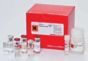 Protease Profiler� Kit PP0500-1KT