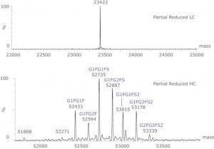 SILu�Lite SigmaMAb Cetuximab Monoclonal Antibody 