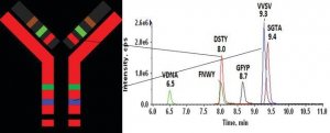 SILu�MAB K1 Stable-Isotope Labeled Universal Monoclonal Antibody 