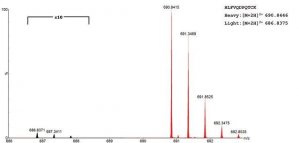 SILu�Prot VEGFA Vascular endothelial growth factor A human 