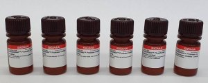 ReadyShield� Phosphatase Inhibitor Cocktail 