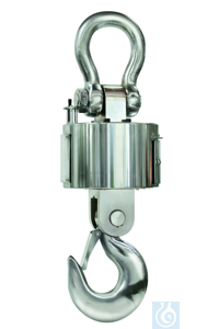 HFT 5T1 Kern Crane ���� 2 ��: 5000 �� HFT 5T1