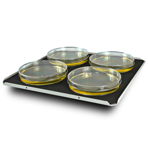 ��������� ��� ����� ����� PP-4 Biosan BS-010108-BK