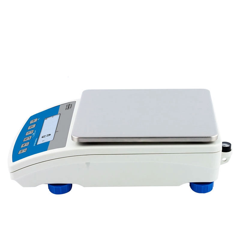 ������������ ���� WLC 6/A2/1 Radwag WL-206-0469