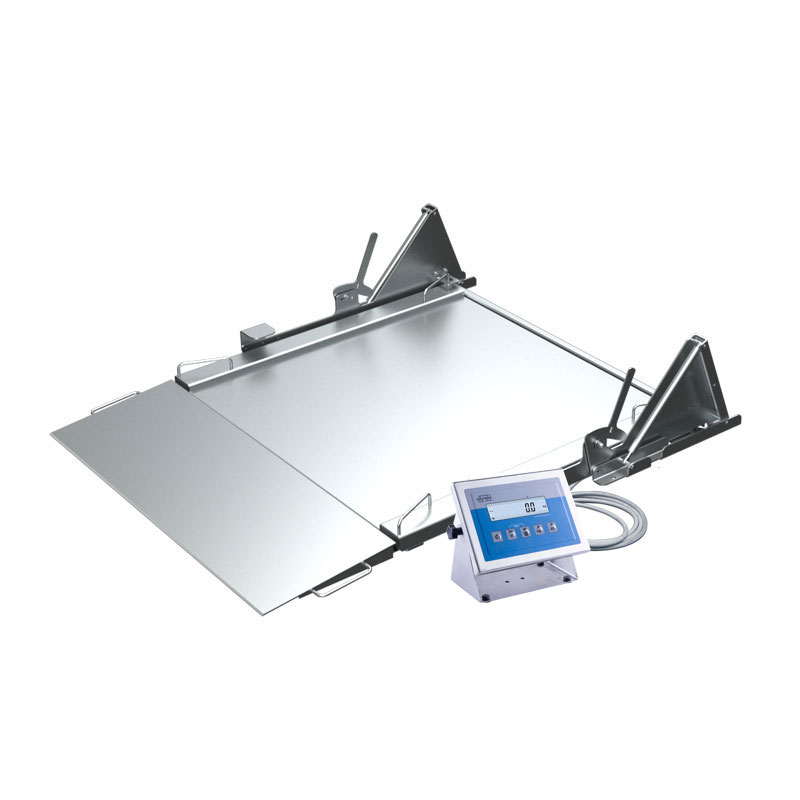 ���� � �������� �� ����������� ����� H315.4N.600.H3.LD Radwag WP-234-0022