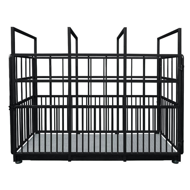 ���� ��� ����� H315.4I.2000.S2 Radwag WP-237-0002
