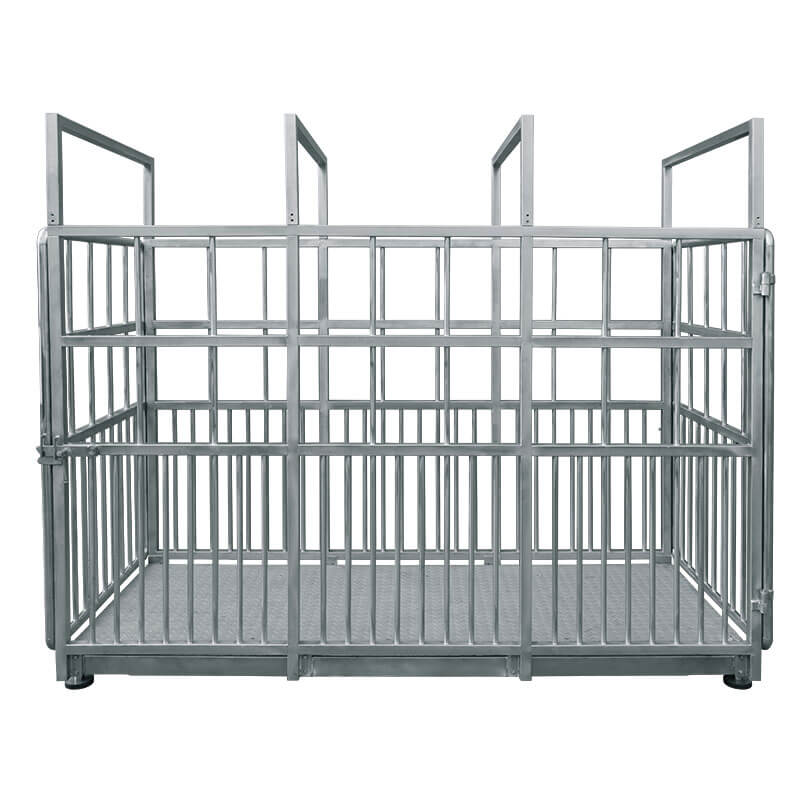 ���� ��� ����� H315.4I.2000.H2 Radwag WP-237-0005