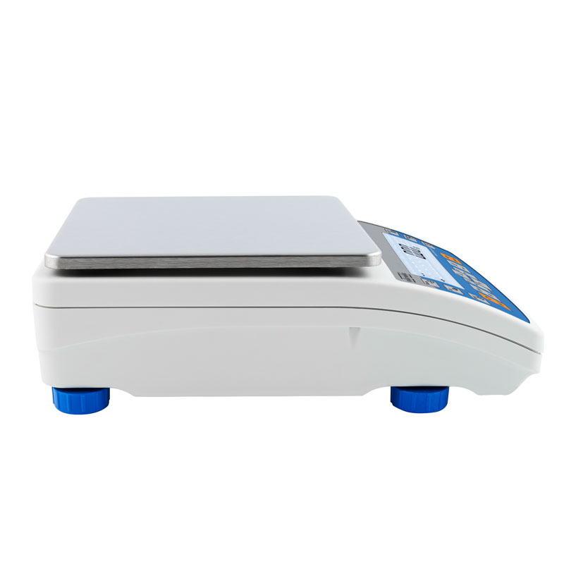 ������������ ���� PS 600.R2.1 Radwag WL-212-0071