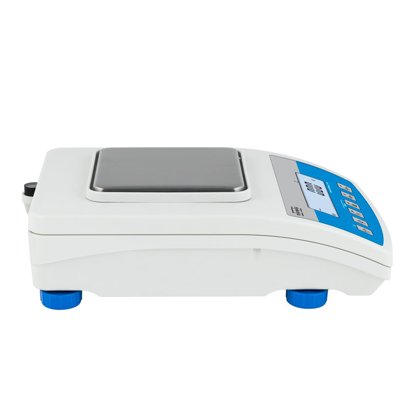 ������������ ���� WLC 0.6/A1/C/2/IO Radwag WL-217-0039