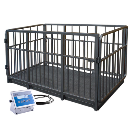 ���� ��� ����� H315.4I.2000.S1  Radwag WP-237-0001