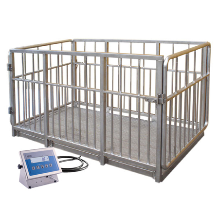 ���� ��� ����� H315.4I.2000.H1 Radwag WP-237-0004