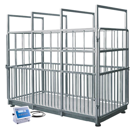���� ��� ����� H315.4I.2000.H2 Radwag WP-237-0005
