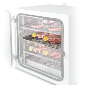 �������������� ����� Biosan BS-010425-AK