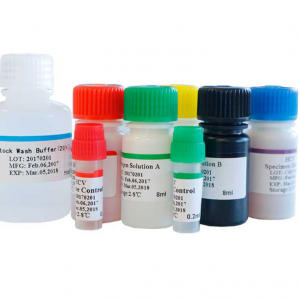 ������ ��� ����������������� ������� Elisa Human 96T/48T Biobase