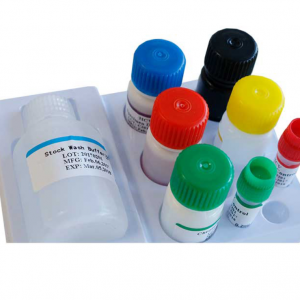 ������ ��� ����������������� ������� Elisa Human 96T/48T Biobase