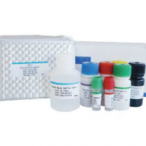 ������ ��� ����������������� ������� Elisa Human 96T/48T Biobase