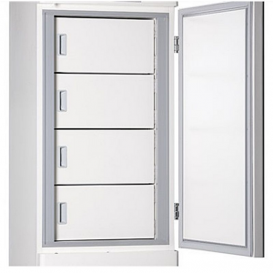 ������������������ ������������ BDW-40L260, BDW-40L320 Being Instrument