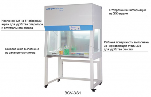 ���������� ����� ����� BCV Being Instrument