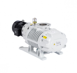 ��������� ����� ���� ���� RUVAC WA 1001 Leybold 11740
