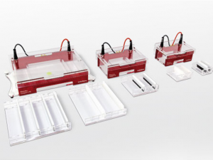 ������������ Biometra Compact XS/S, M and L/XL Analytik Jena