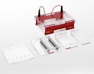 ������������ Biometra Compact Multi-Wide Analytik Jena