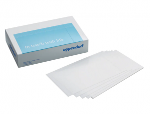 ������ Masterclear adhesive real-time PCR-film, �������������, 100 ��/��, Eppendorf 0030132947