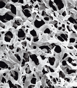 ������, ������������ �������, d ��� 0,65 ���, d �������� 142 ��, 50 ��. Merck (Millipore) DVPP14250