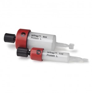������� ������������������ HiTrap Protein L Cytiva 29048665