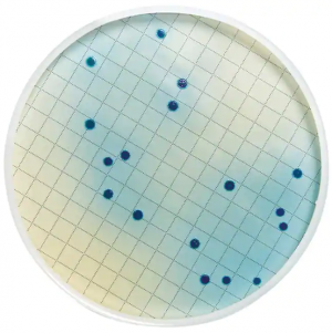 ����� ��� ����������� ��������� ��������, ����� ����� Merck (Millipore) MB000000F