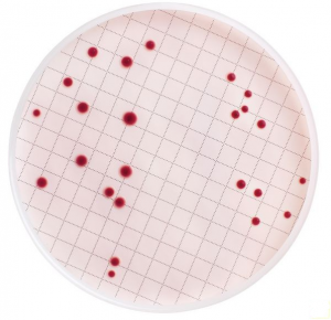 ����� �-���� ��� ����������� �������� (����-������), ����� Merck (Millipore) MB000000E