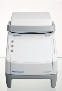 ����������� Mastercycler nexus gradient eco Eppendorf 6334000018