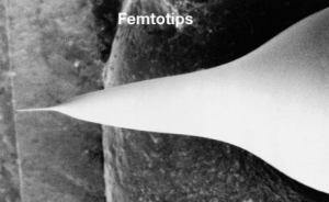 ������������� Femtotips Eppendorf 5242952008