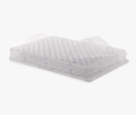 ���������� eXTReme� Excel Scientific