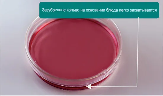 Чаша для культивирования клеток Topscien