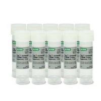 ������-���� ��� �������������� ��� � ������ ��������� ������� iTaq Universal Probes Supermix, Bio-Rad 1725130