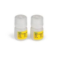 ����������� �������� 2� ������� ��� ������ � ������� TagMan, 2 � 4,5 ��, Bio-Rad 1863052