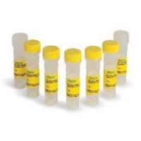 ����� ���������, 2� One-Step RT-ddPCR, 500 �������, Bio-Rad 1863022